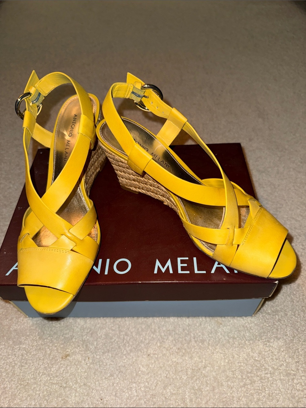 Antonio Melani Daphney Yellow Leather Espadrille Wedges Size 9.5